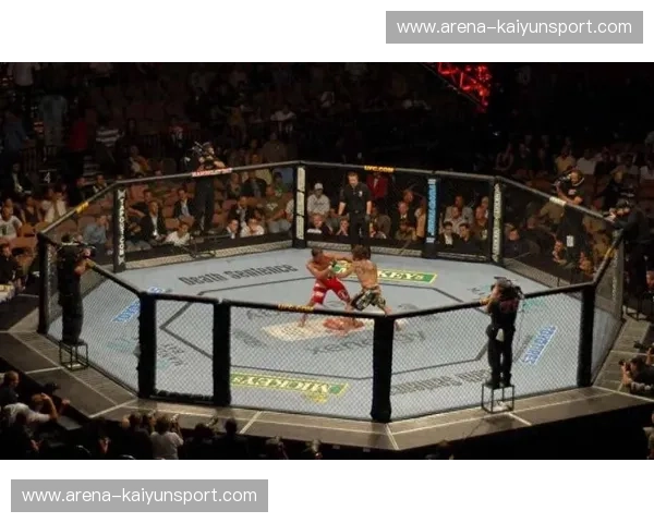 UFC赛事预测：用数据与直觉洞察擂台胜负